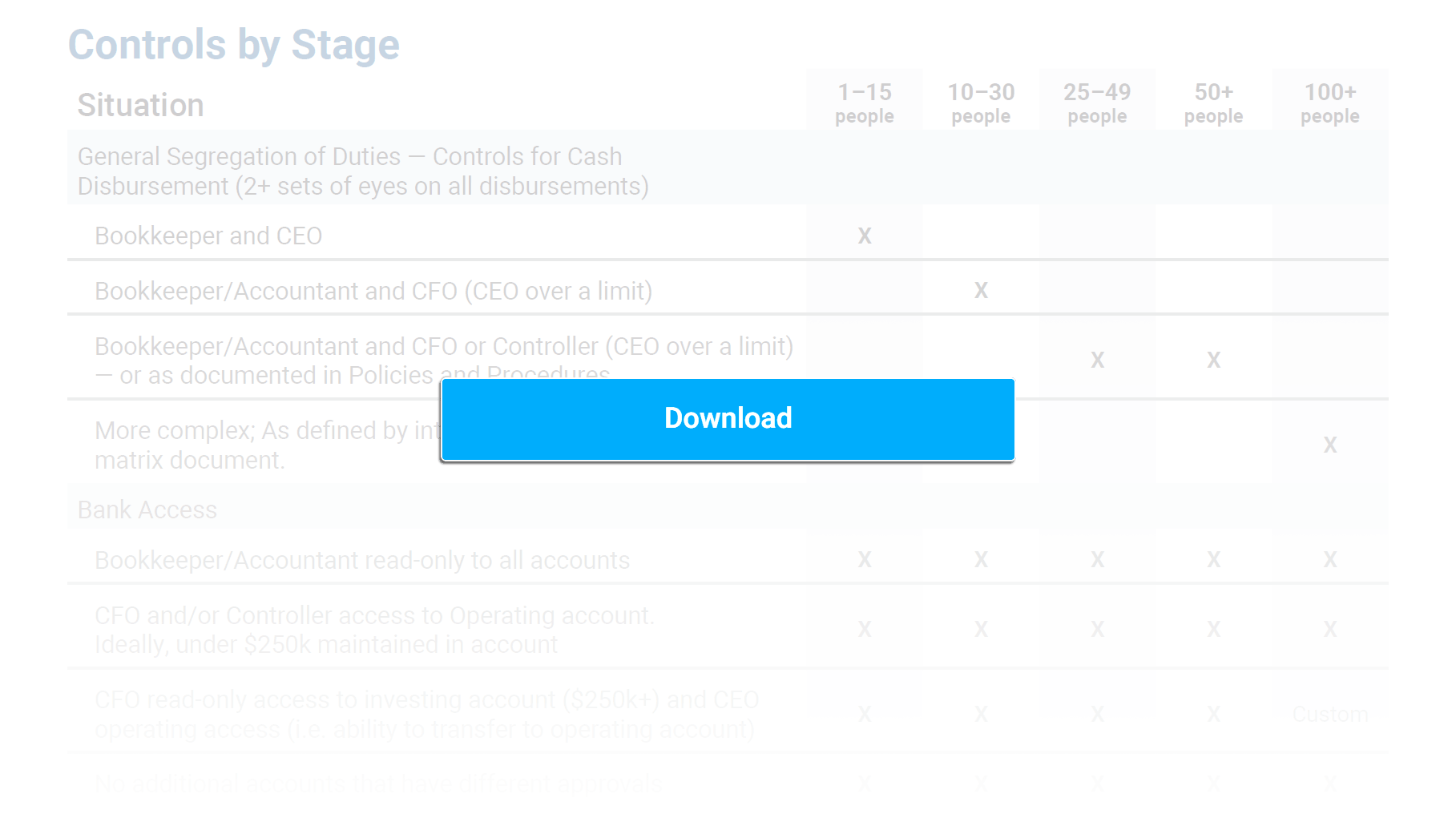 Download the Financial Controls Matrix for Startups